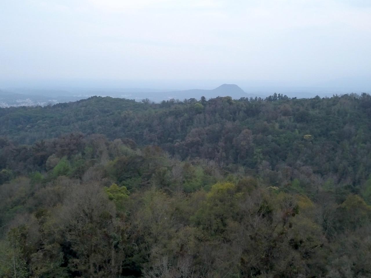 Invasores falsifican constancia de posesión de 2 mil hectáreas en Coatepec