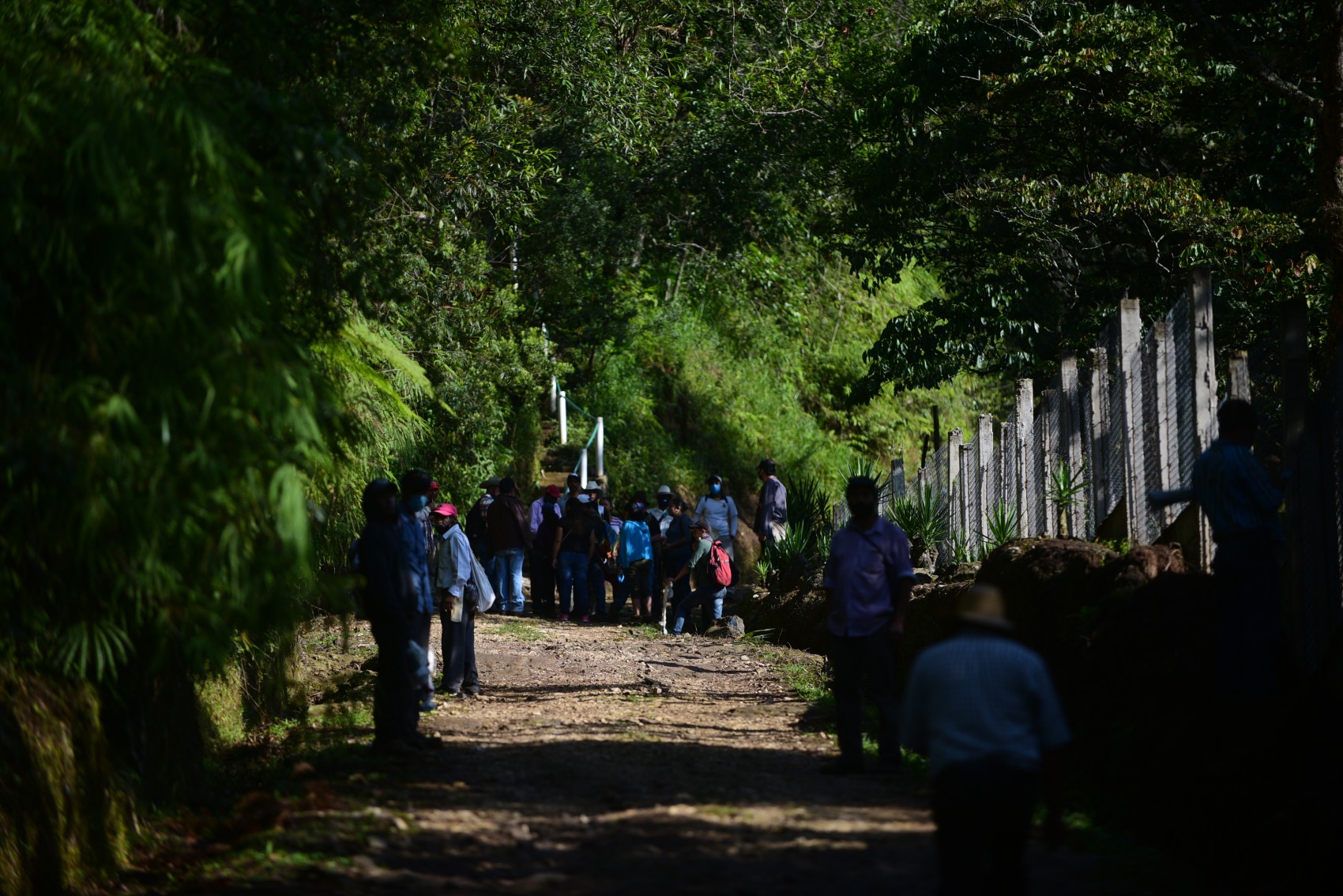 Agentes municipales exigen a Sedatu frenar deslinde de 2 mil hectáreas de bosque en Coatepec