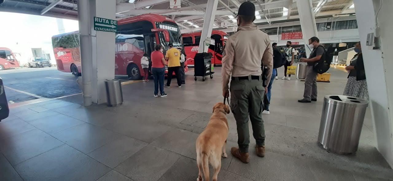 Decomisan 5 kilos de droga a un pasajero en CAXA