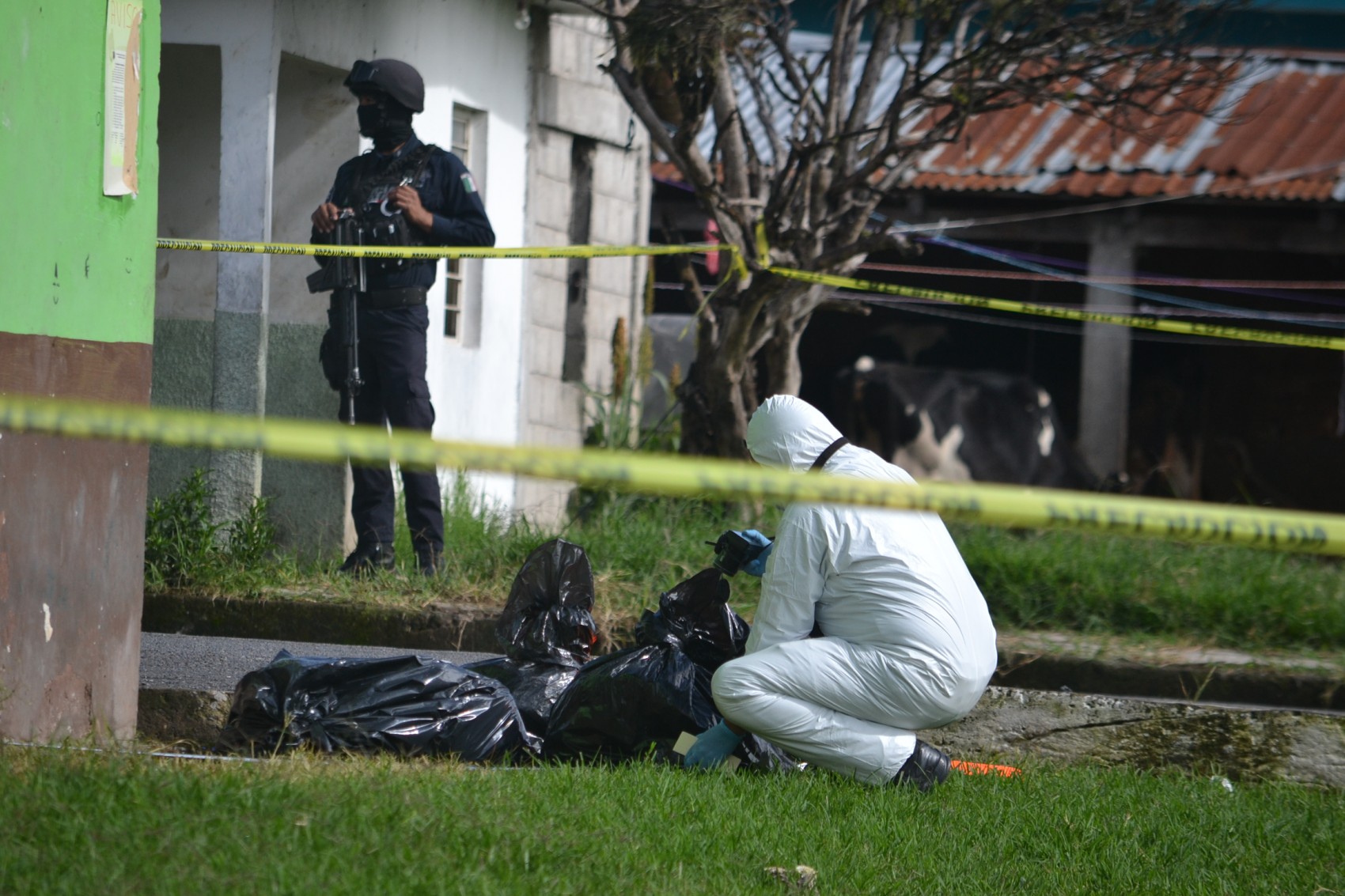 Abandonan cadáver desmembrado y embolsado en Rafael Delgado