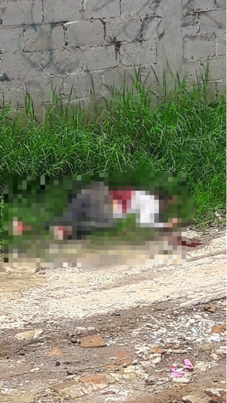 Ejecutan a balazos a mujer en colonia Vasconcelos