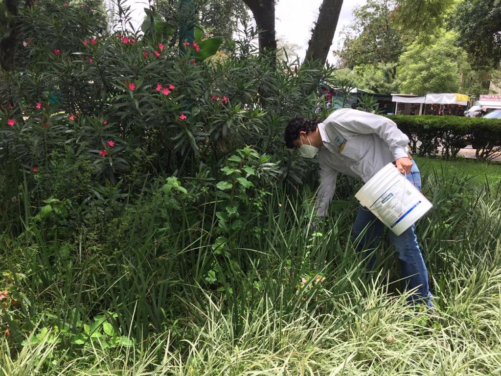Realiza Ayuntamiento jornadas  de mantenimiento en parques