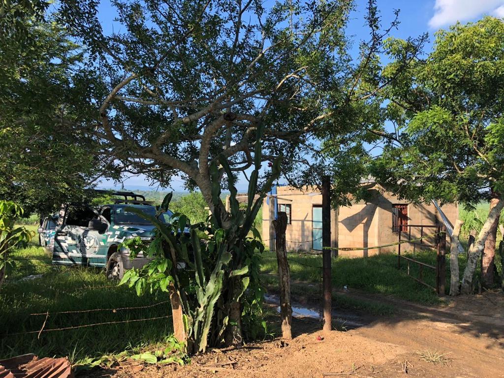 Hallan fosa clandestina con cráneos humanos en rancho de Acayucan