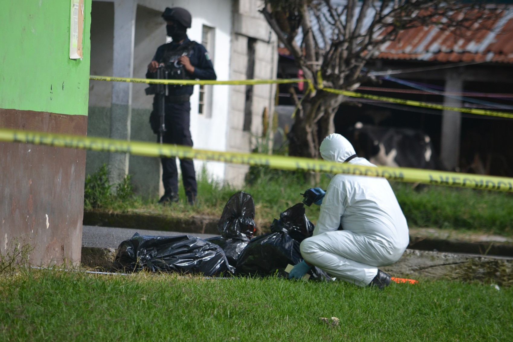 Abandonan dos cuerpos  desmembrados en Coscomatepec