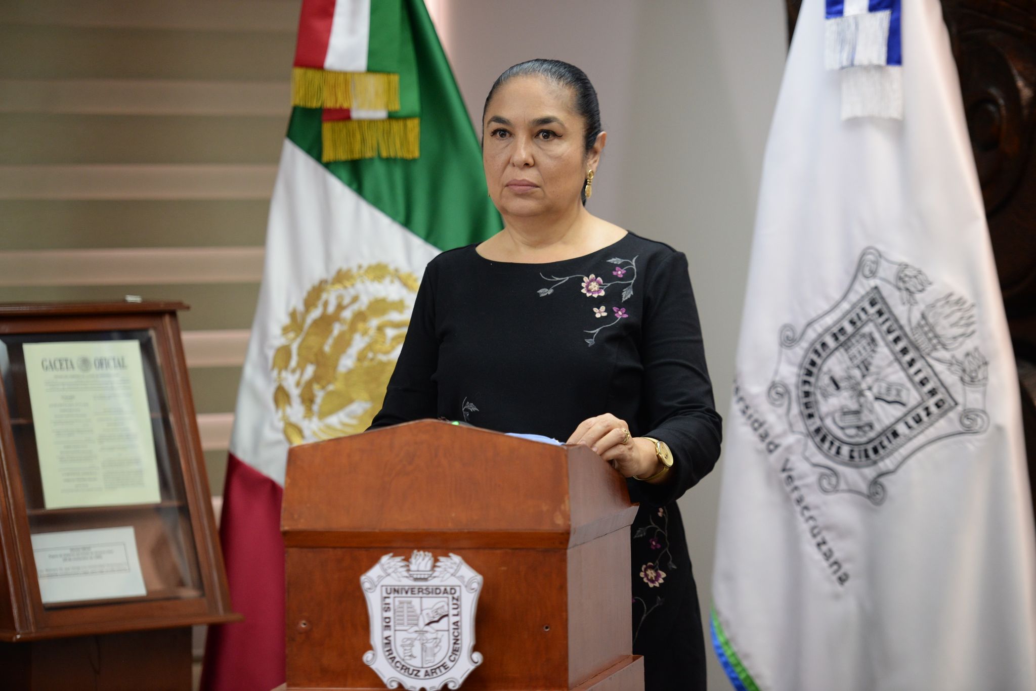 Emergencia Covid evidenció inequidades en la educación: Rectora UV