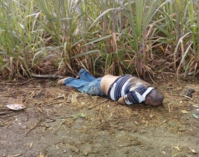Encuentran cadáver en la  carretera Las Trancas-Coatepec