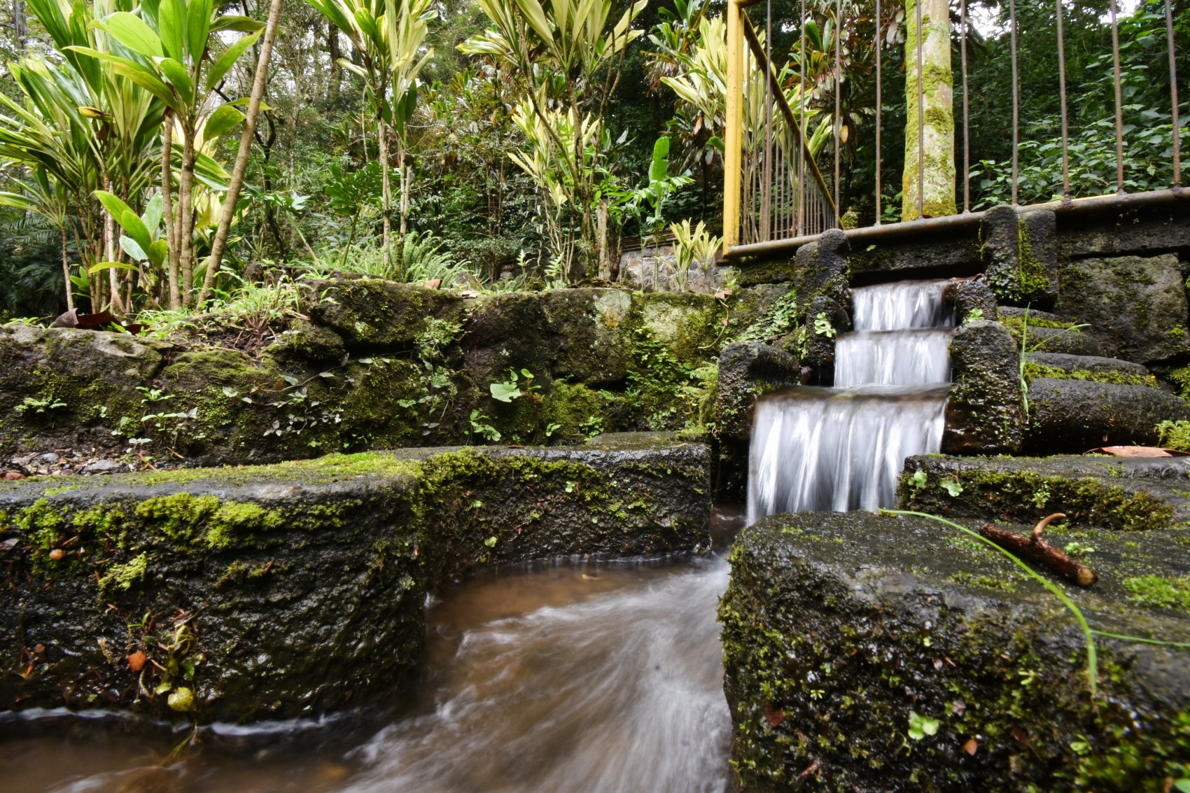 Fotógrafos denuncian el cobro de 2 mil 500 pesos por sesiones en parques y jardines de Xalapa