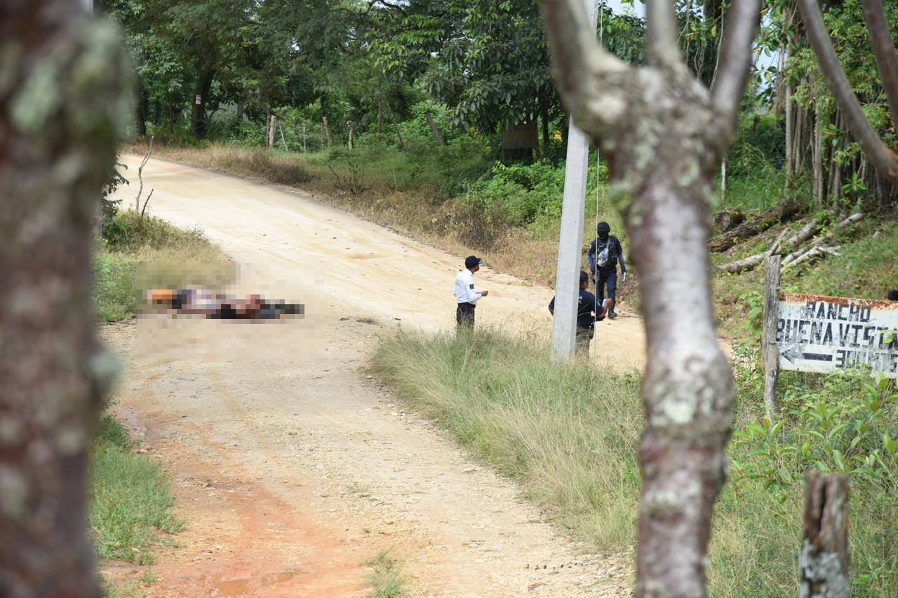 Abandonan cinco cuerpos en Jesús Carranza