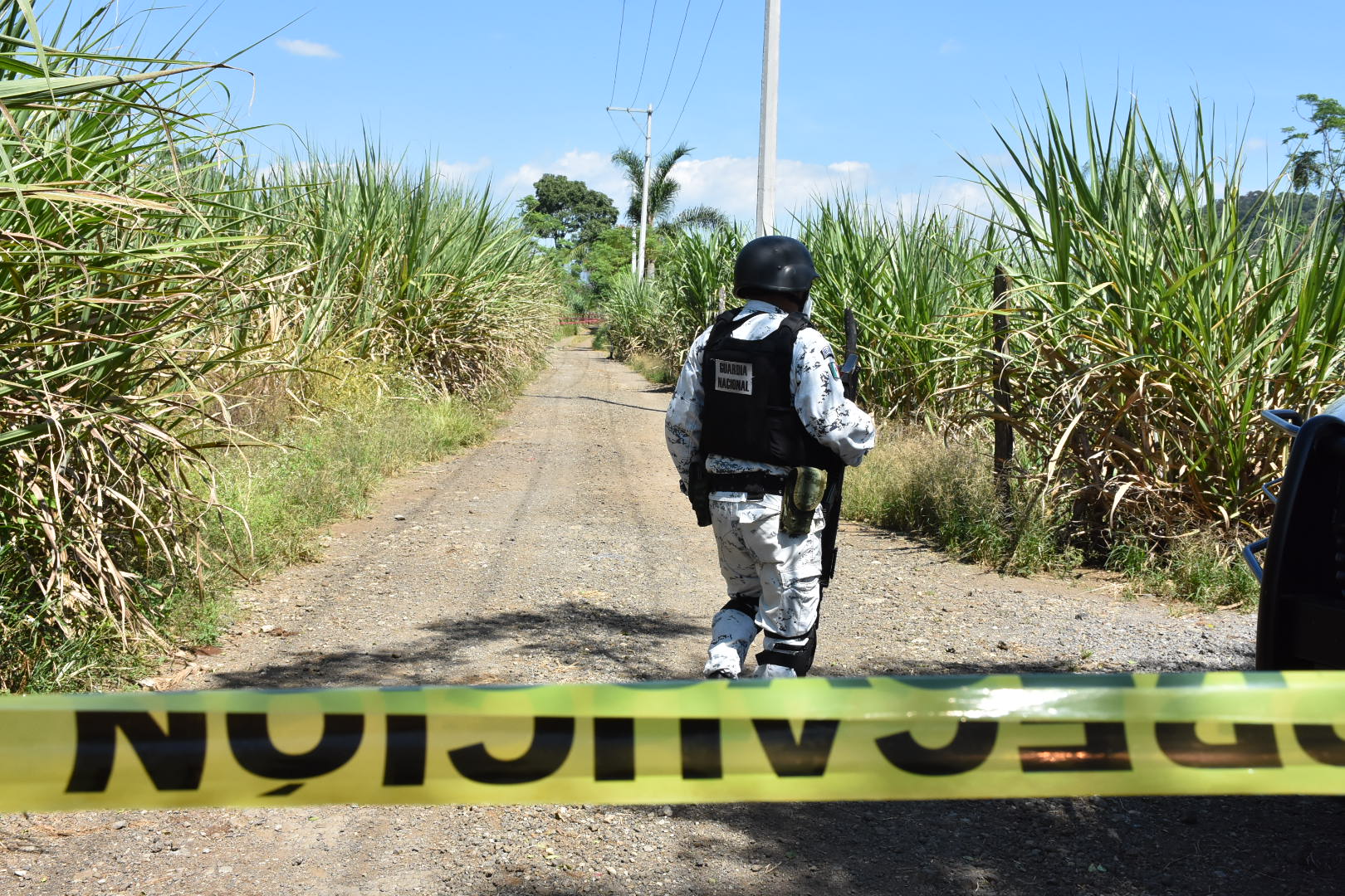 Aparece osamenta en camino de terracería en Ixtaczoquitlán