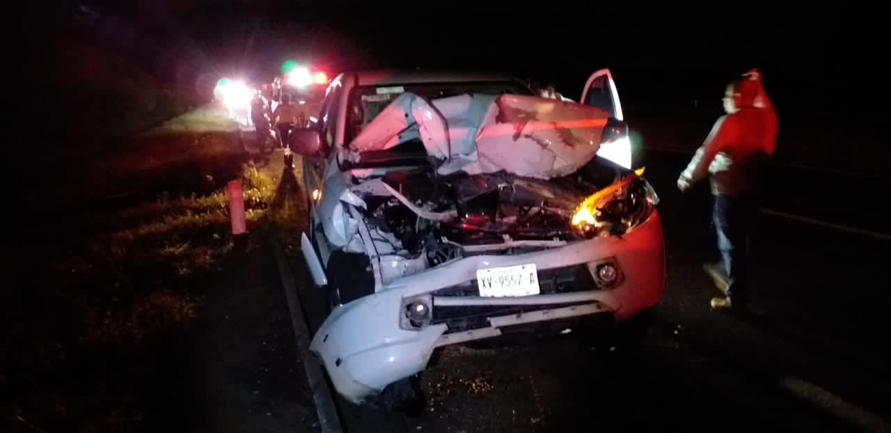 Accidente múltiple deja cuatro vacas muertas en carretera Veracruz-Córdoba