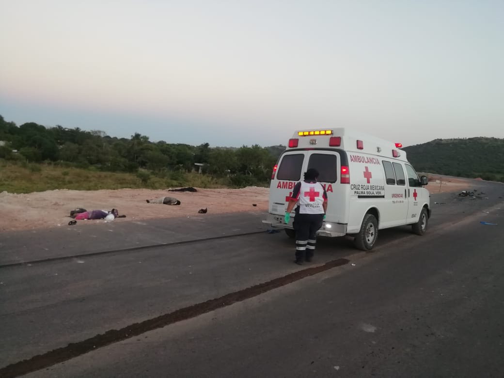 Pareja de motociclistas es hallada sin  vida a orillas de la carretera 180 en Palma Sola