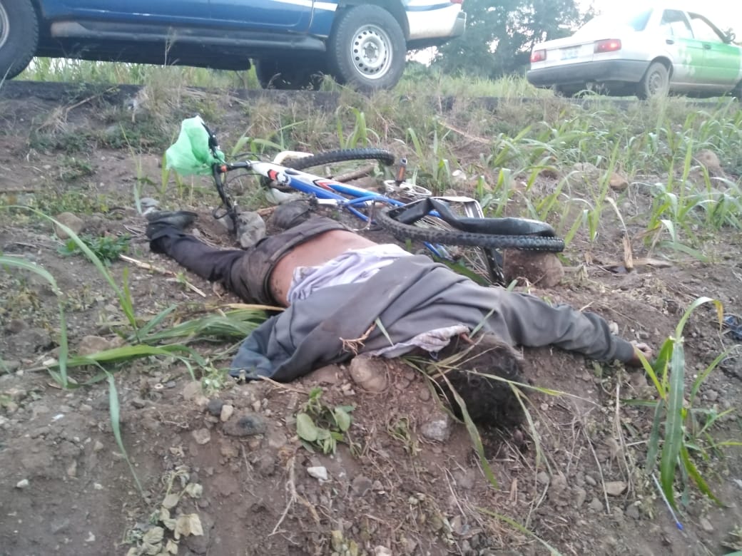 Hombre muere atropellado en Yanga