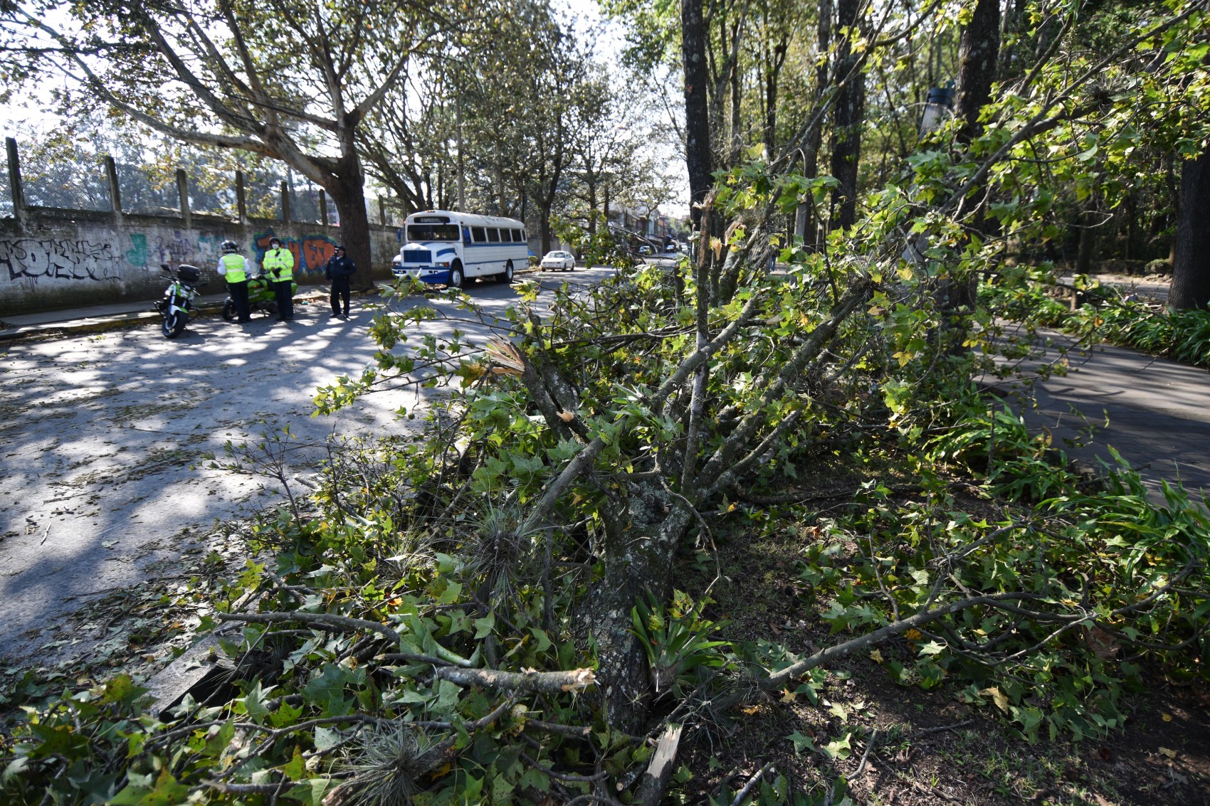 Cierran parques en Xalapa debido a rachas de viento