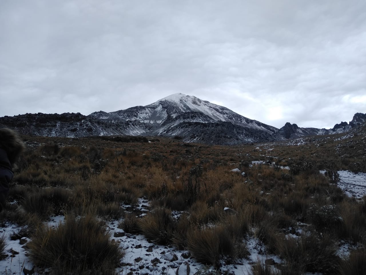 Perdieron vigencia convenios para reforestar el Pico de Orizaba: Instituto Metropolitano del Agua