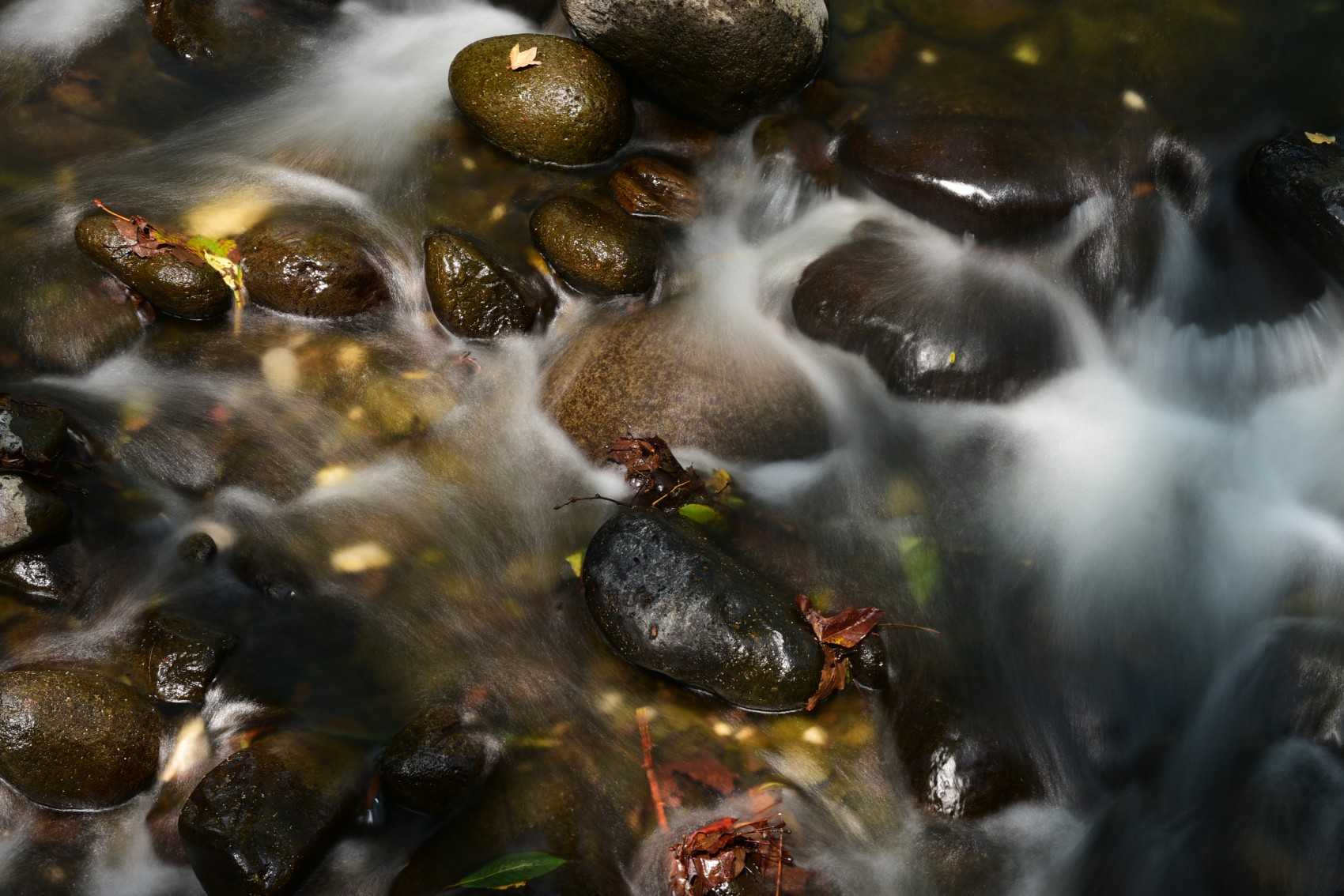 Xalapa, la estrategia para que el agua no se acabe