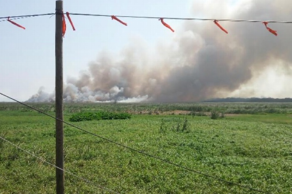 Se registra incendio en la zona de Tembladeras, en la ciudad de Veracruz