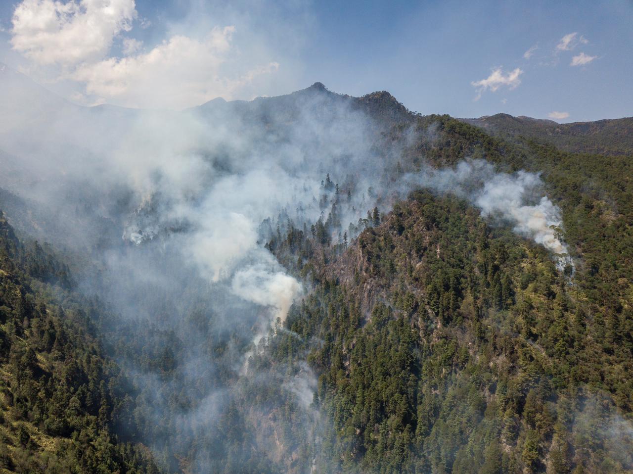 Calcahualco, Maltrata, La Perla y Acultzingo,  focos rojos en incendios forestales
