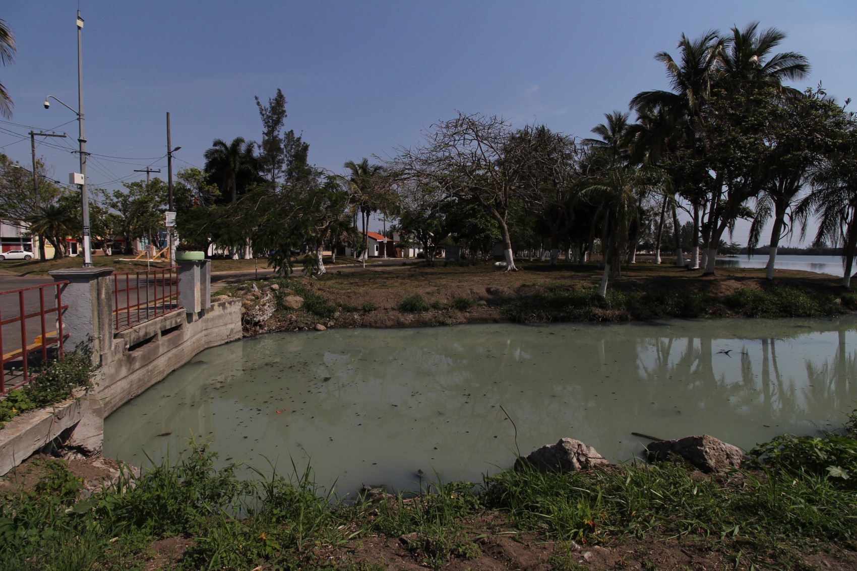 Denuncian ecocidio por contaminación en Laguna Real