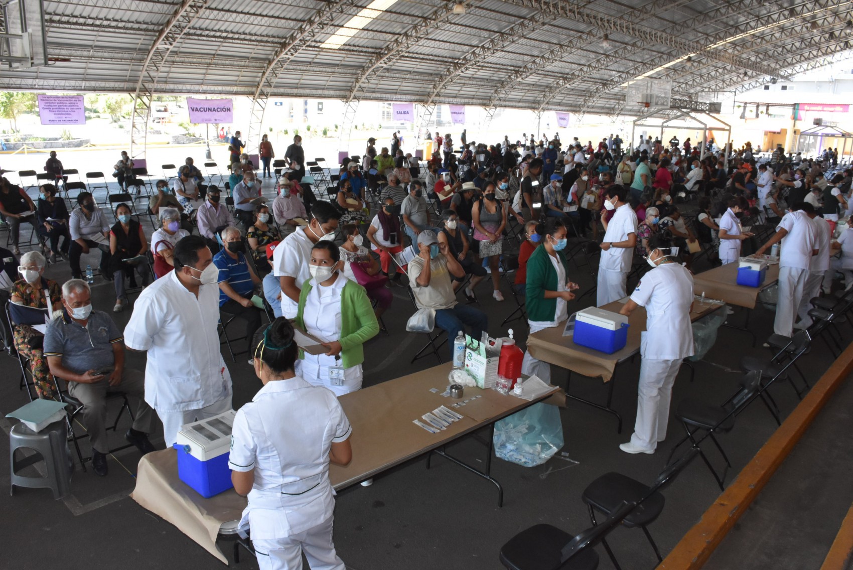 Estima OMS que virus llegó a humanos por ‘eslabón perdido’