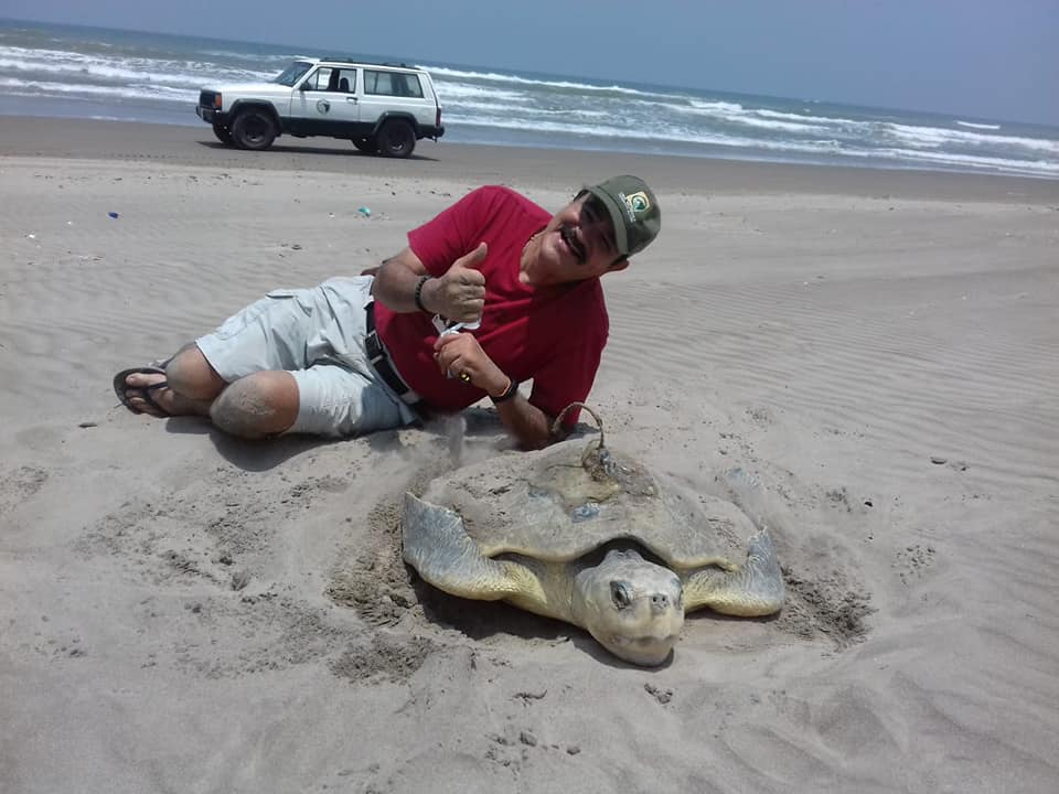 Fallece Papá Tortuga, protector del quelonio en Tecolutla, Veracruz