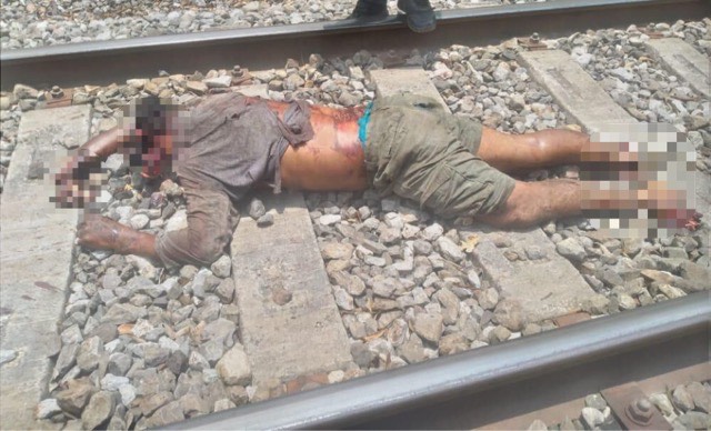 Muere migrante al caer del tren en San Juan Evangelista