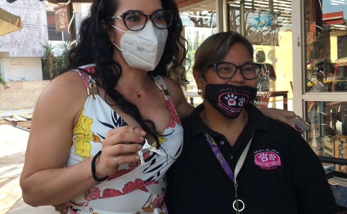 Fundación dona camioneta acondicionada como ambulancia para animales en Veracruz puerto