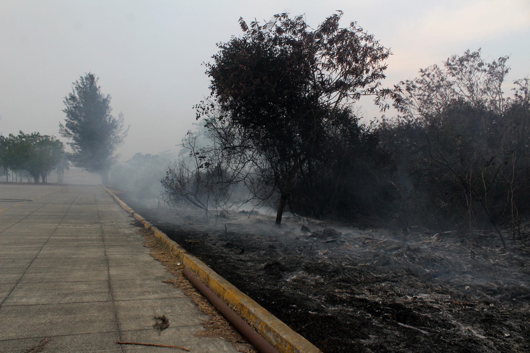 Evacúan a pacientes y personal del Criver por incendio en pastizales