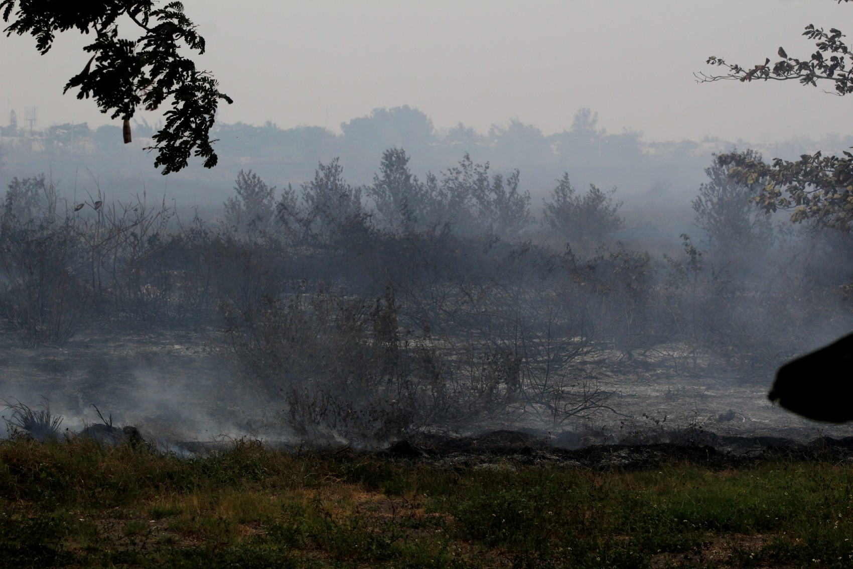 Incendio en zona de pantanos entre Boca del Río y Medellín; sin acceso para bomberos