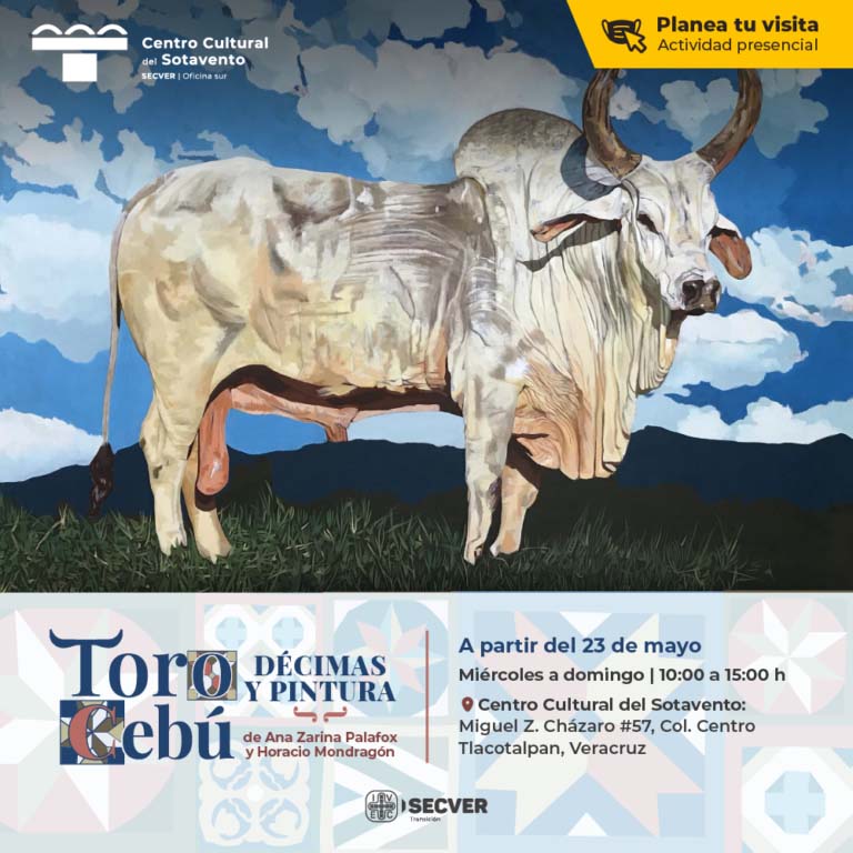 Invita Centro Cultural del Sotavento a visitar la exposición Toro Cebú