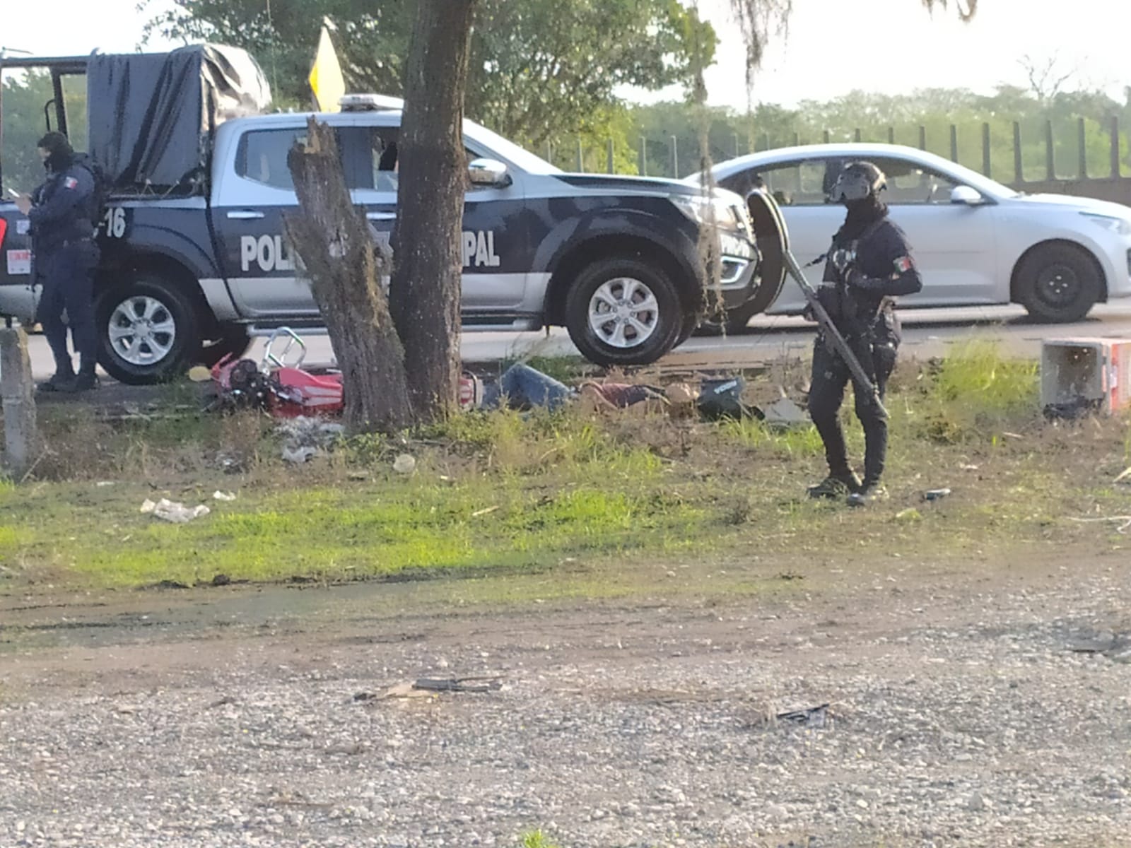 Repartidor pierde la vida al estrellarse  contra árbol en la autopista Córdoba-Veracruz