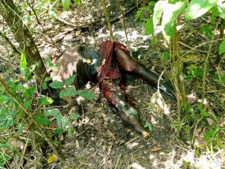 Hallan cuerpo putrefacto en ejido de Moloacán