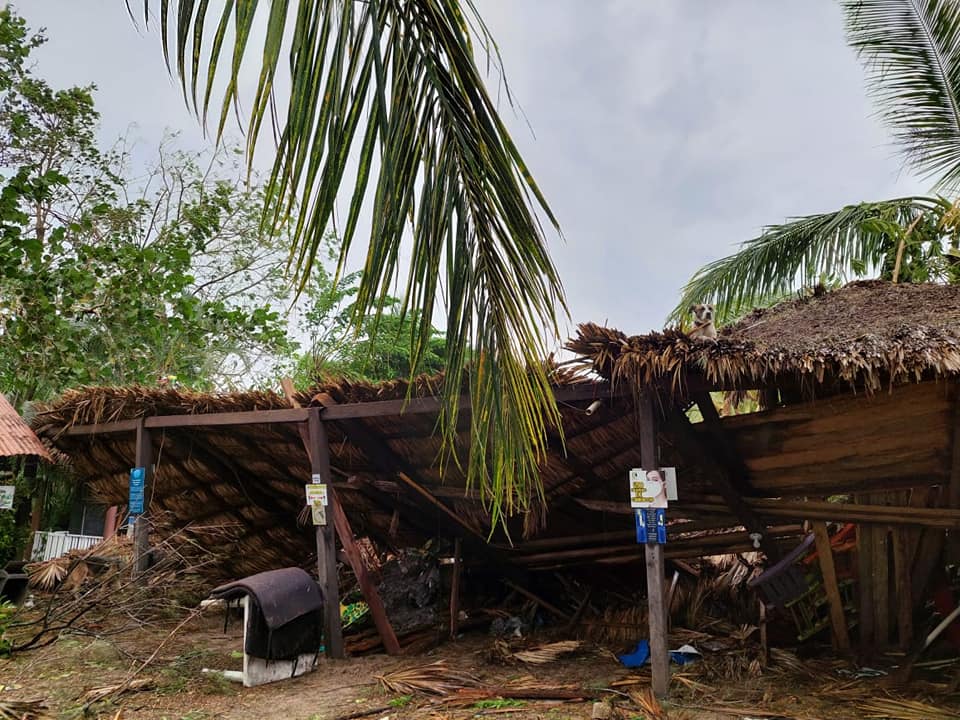 Desolador panorama en Tecolutla,  Vida Milenaria, AC, abre centros de acopio