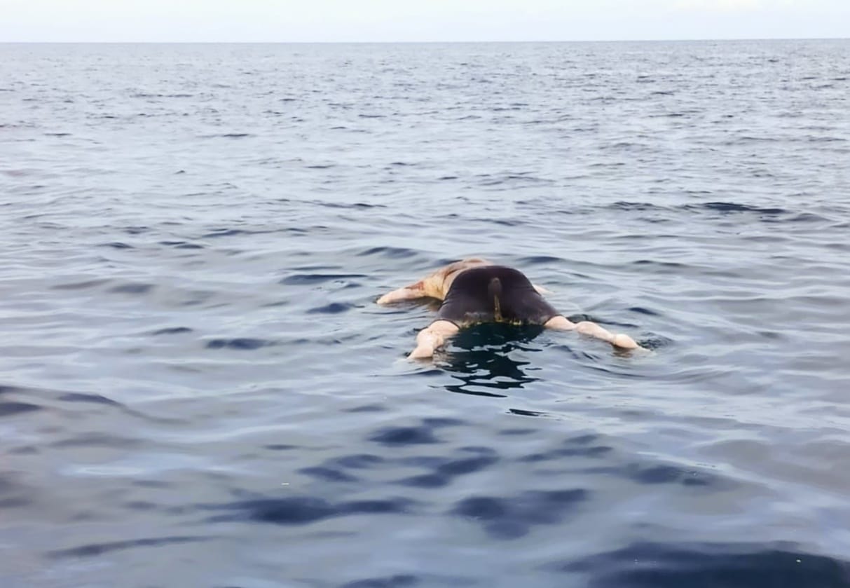 Pescadores de Mata de Uva encuentran cuerpo en el mar, tenía al menos tres días