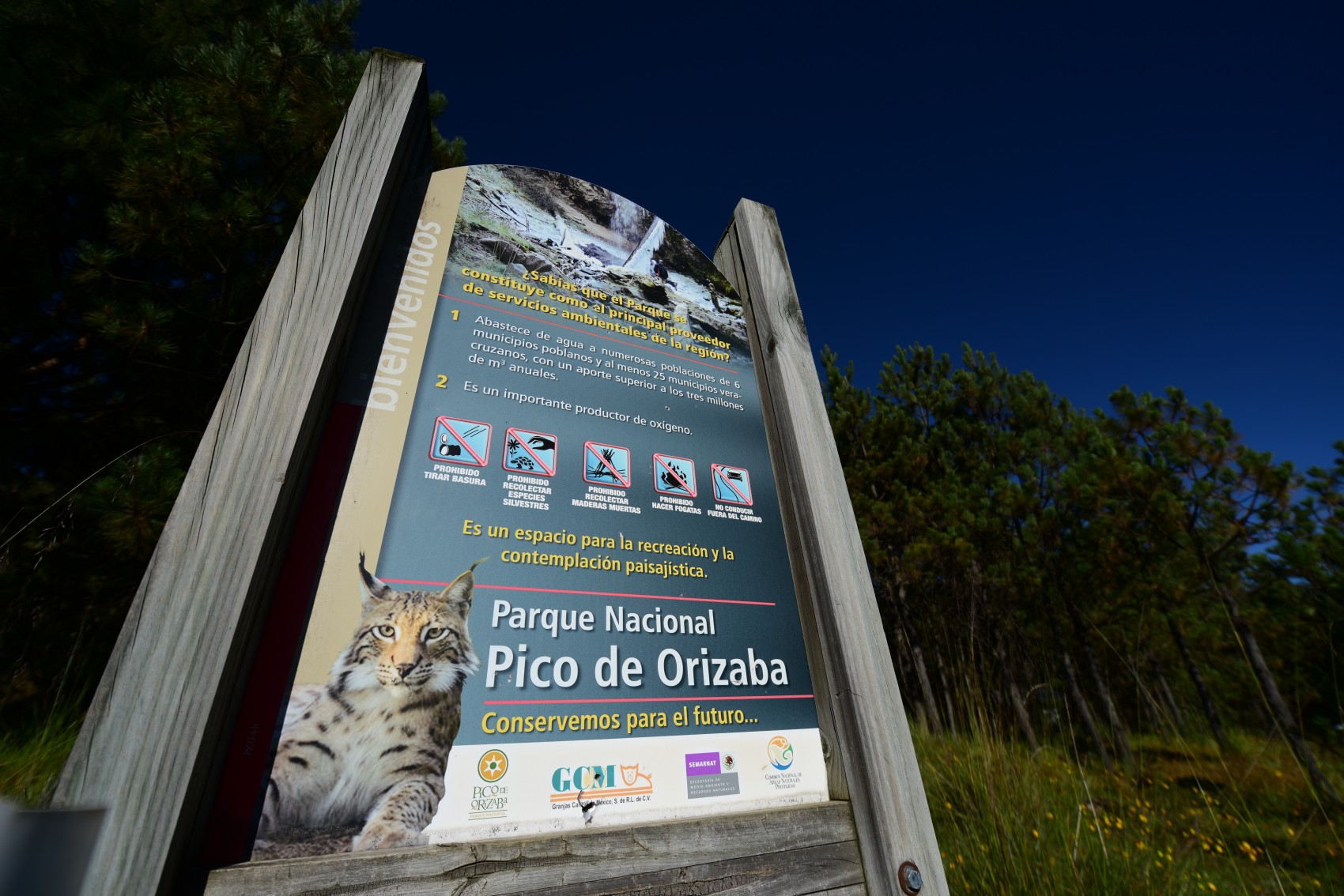Áreas Naturales en Veracruz desprotegidas en el presupuesto