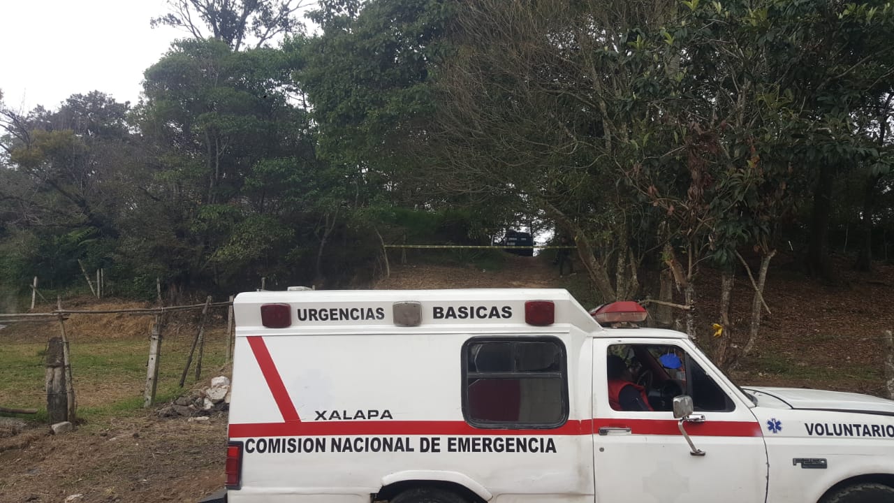 Encuentran cadáver colgando  de un árbol en Tlalnelhuayocan