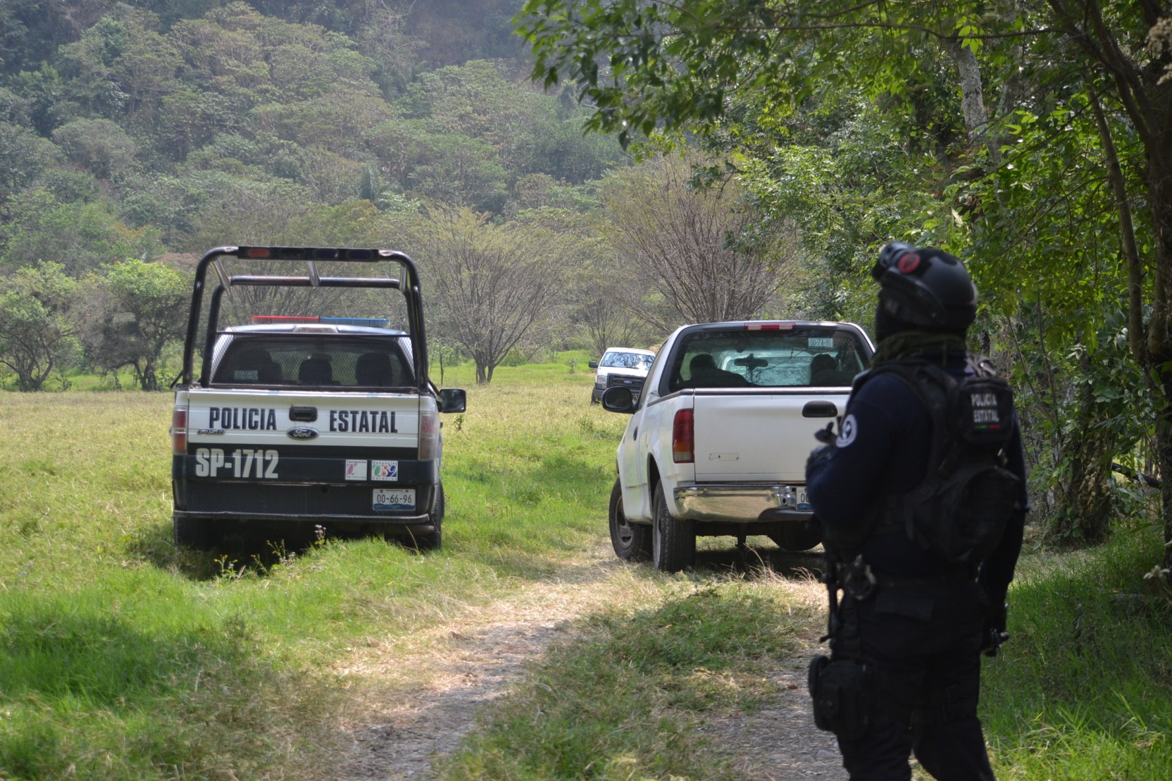 Hallan dos cráneos y extremidades en sembradíos en Paso del Macho