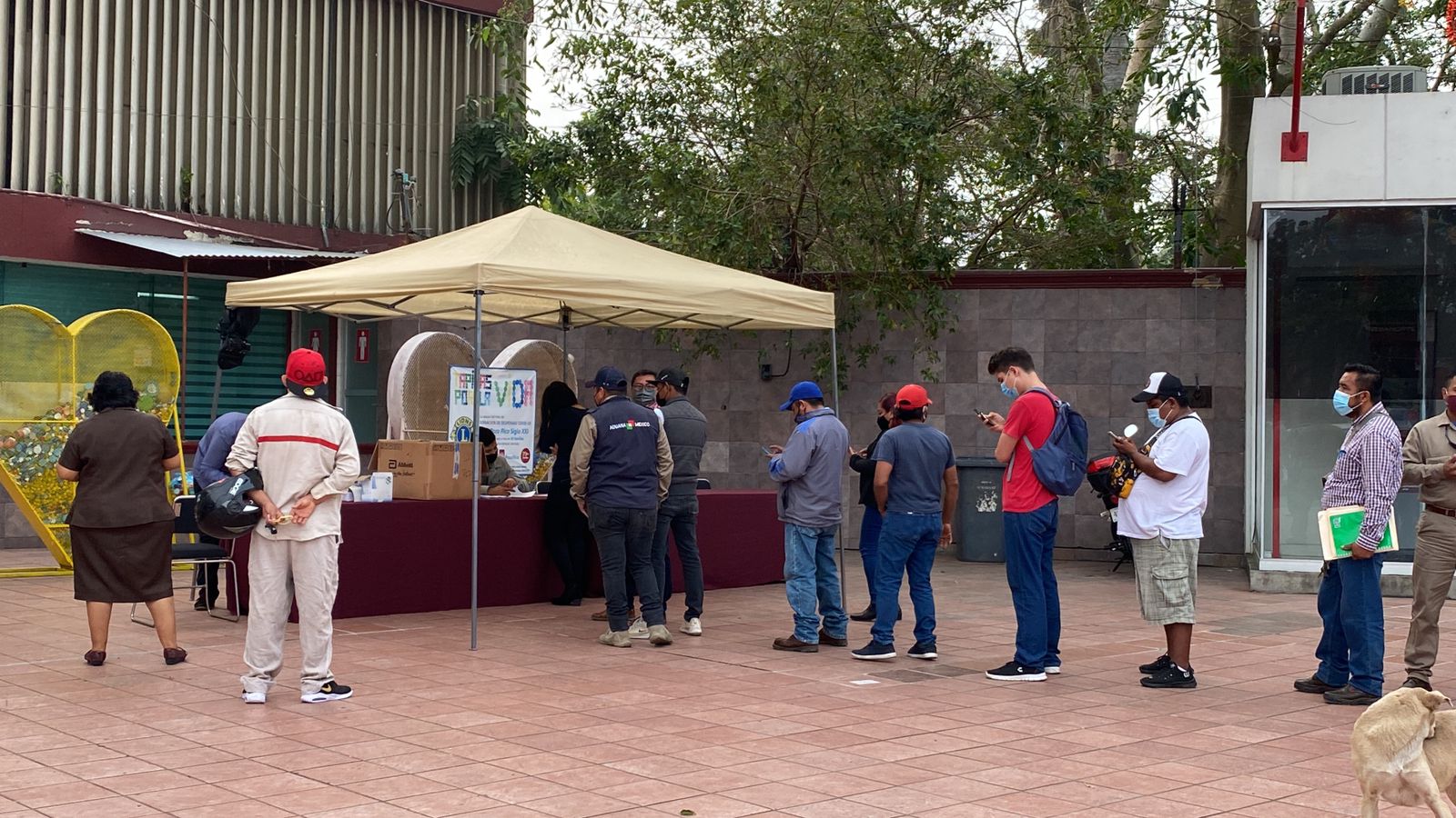 Cuarta ola Covid se asoma en  Veracruz; casos activos se disparan