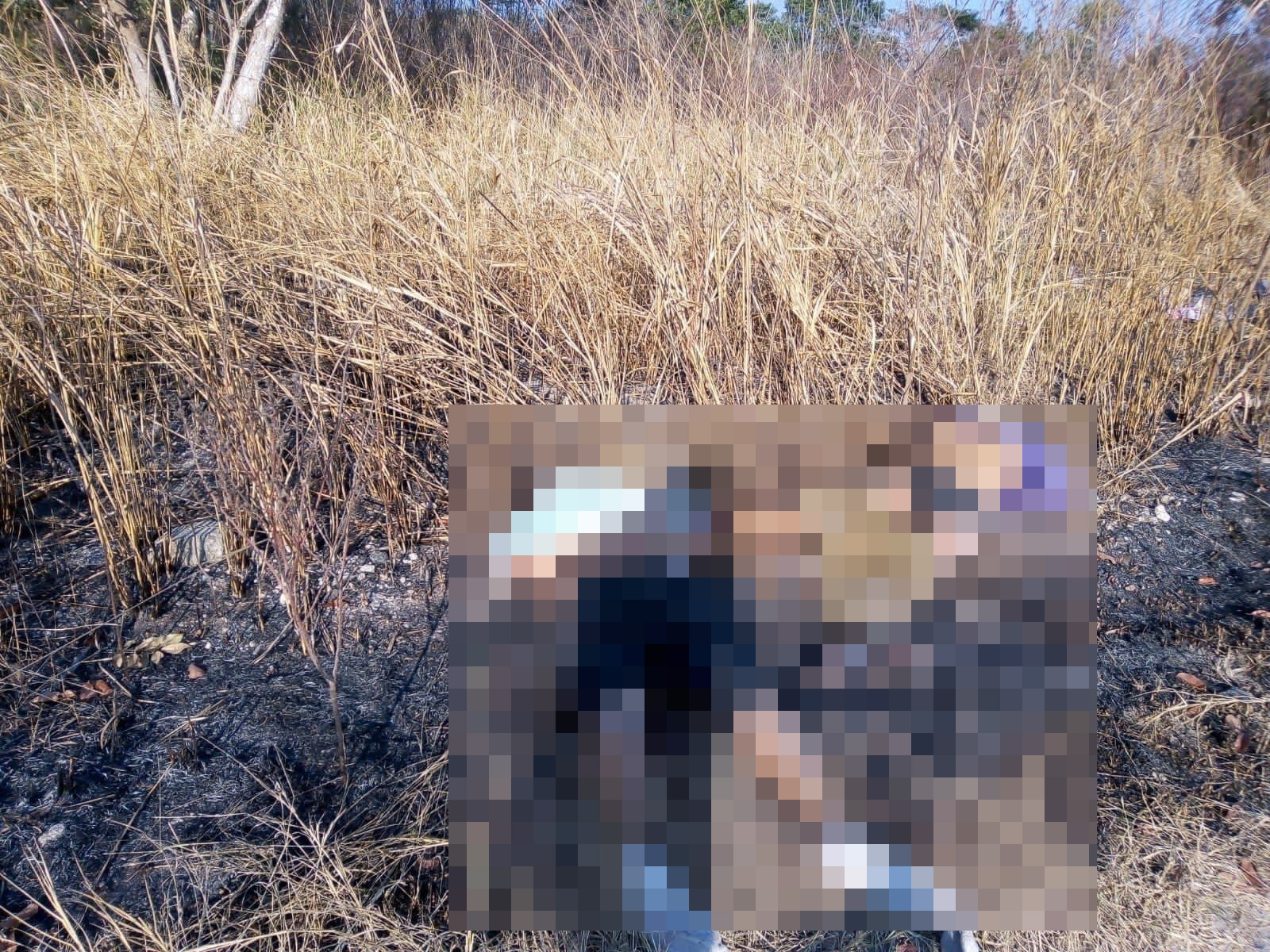 Hallan cuatro cuerpos con huellas de violencia en Rinconada
