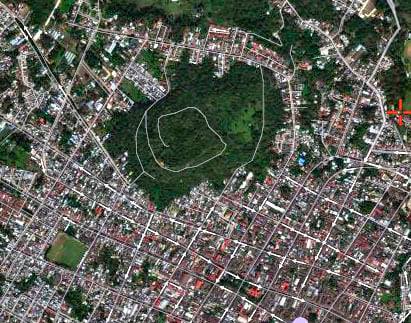 Xalapa y Coatepec perdieron más de mil hectáreas de cobertura arbórea por mancha urbana