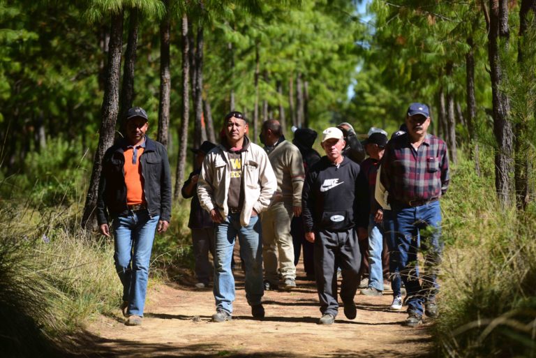 Sierra de Agua: el trabajo comunitario que protege a un bosque de incendios y tala indiscriminada