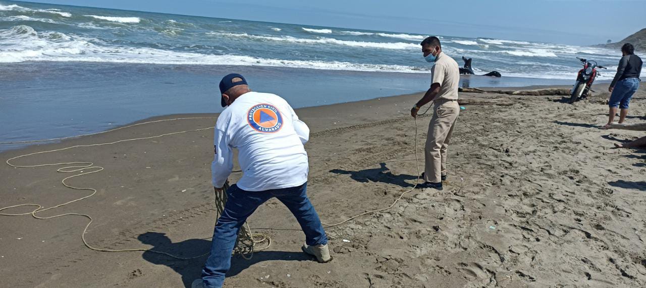 Rescatan a turista de Ciudad de  México a punto de ahogarse en Alvarado