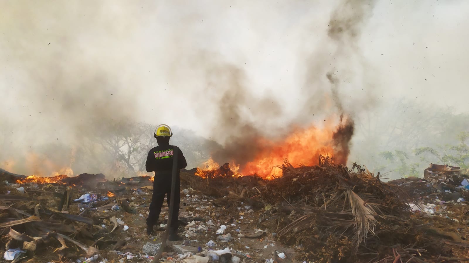 Bomberos trabajan para sofocar fuerte incendio en Reserva 4, de Veracruz