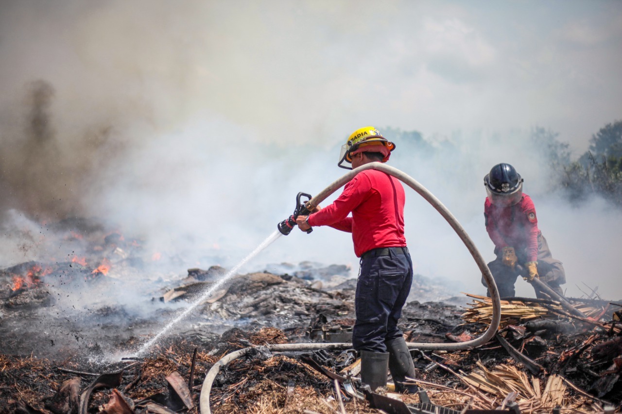 Este fin de semana 16 incendios forestales; 14 siguen activos