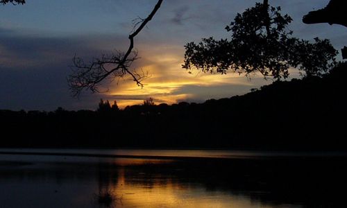 Reserva de la Biosfera de los Tuxtlas ha perdido el 12% de su cobertura arbórea