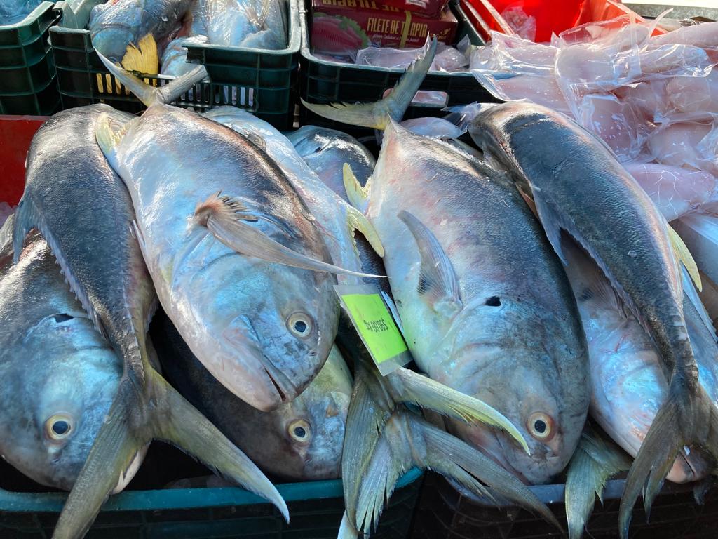 Camarón a 140 pesos y mojarra a 90: repunta venta en Cuaresma