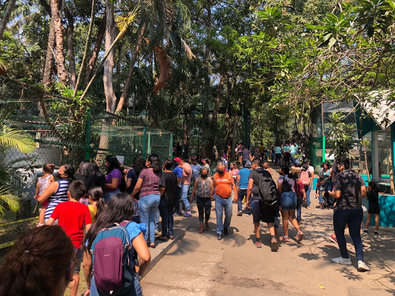 Veracruz se mantiene en color verde otros quince días