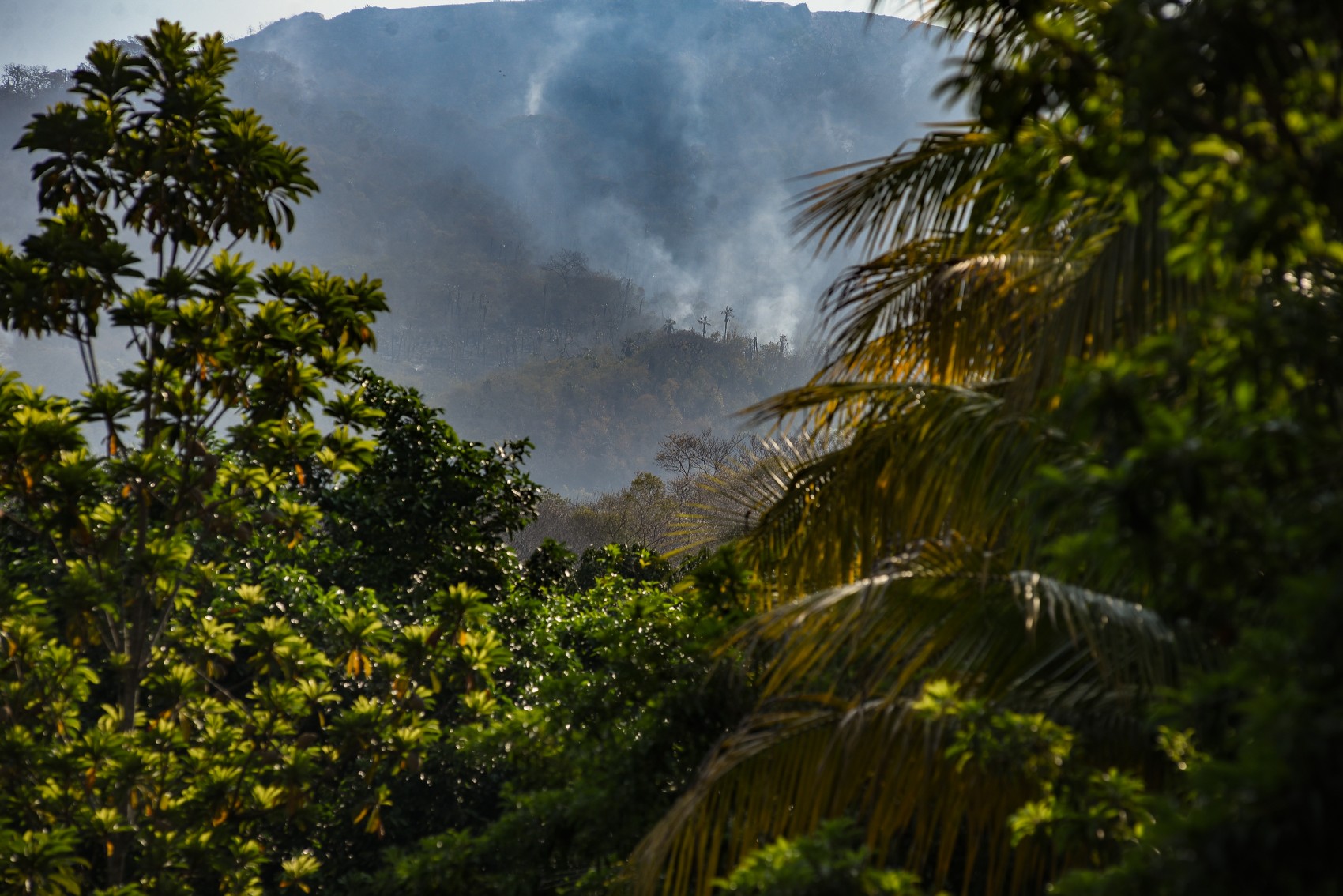 Continuan activos 11 incendios en Veracruz, informó Sedema