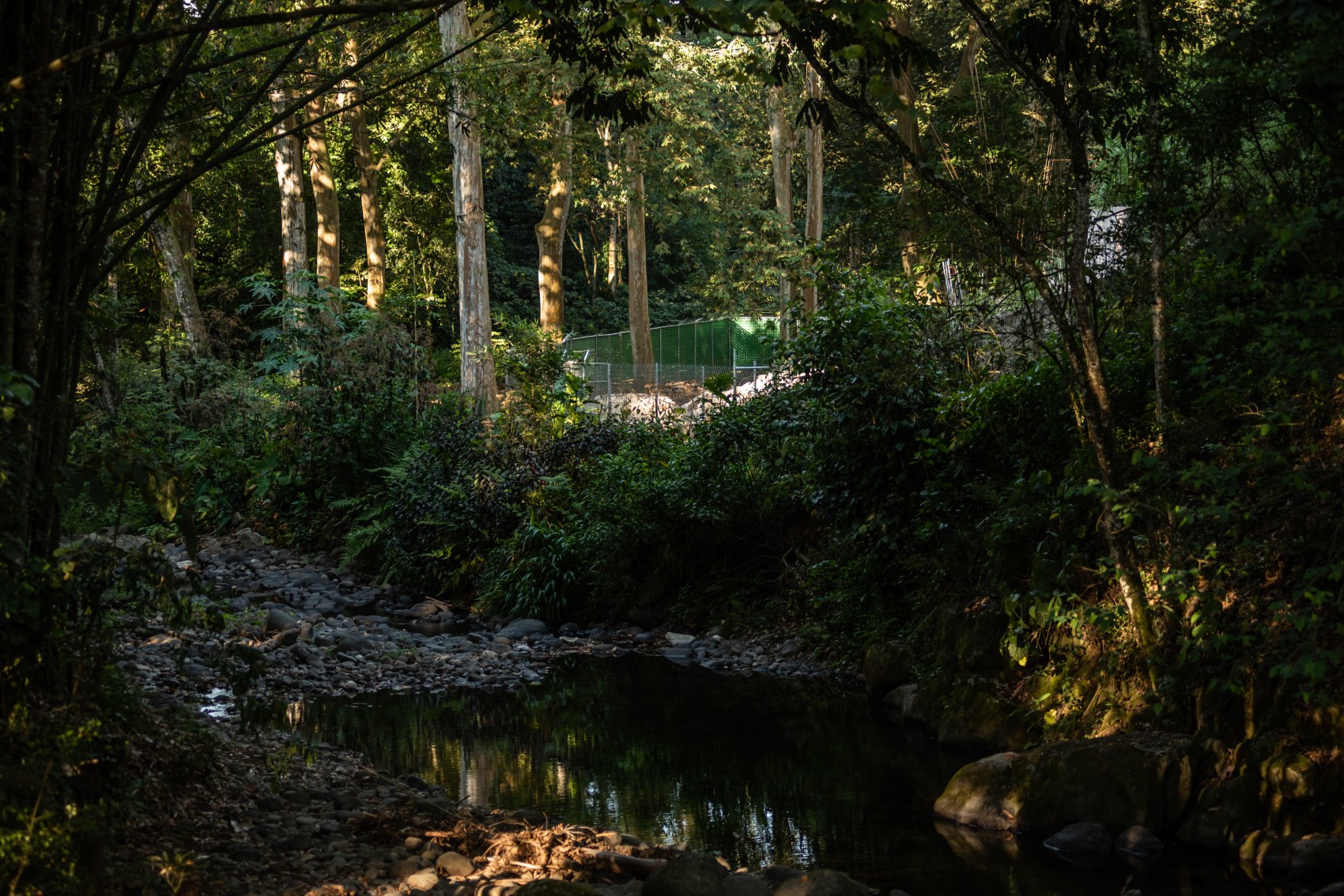 Comunidades de Coatepec denuncian que desvío de río no tenía permisos ambientales
