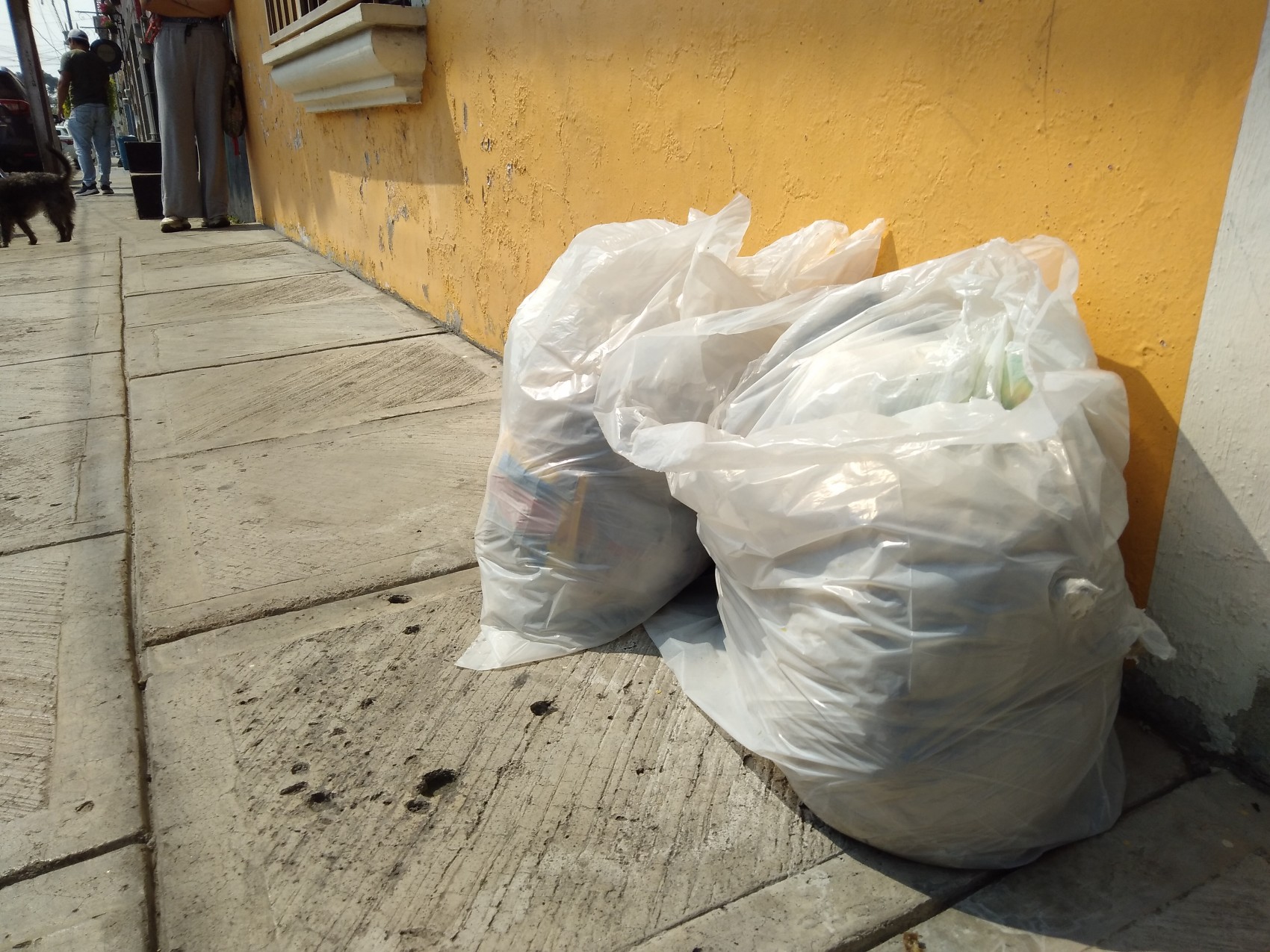 Deficiente recolección de basura genera tiraderos clandestinos