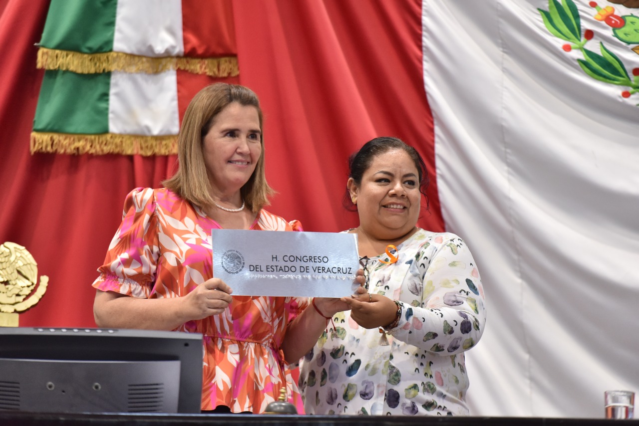 Reforma, permitiría que trabajo legislativo sea accesible para personas con discapacidad